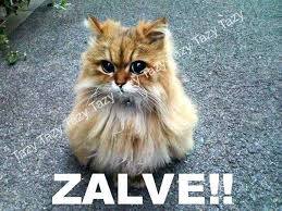Avatar utente