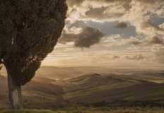 crete senesi