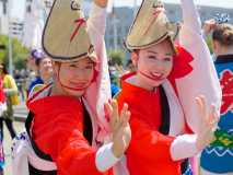 Awa Odori Folk Dance Festival