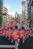 Awa Odori Folk Dance Festival